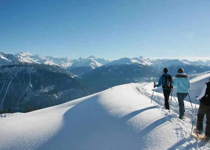 Terrasse Des Alpes.11 Vermala